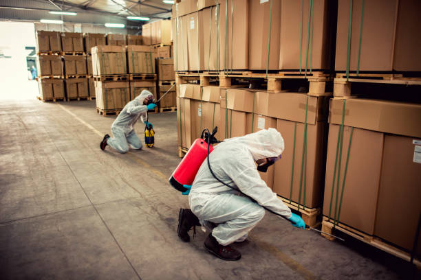 Best Pest Inspection Near Me  in Cozad, NE