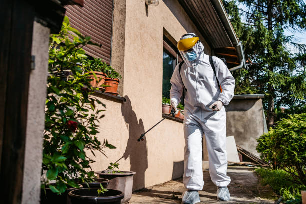 Best Mosquito Control Services  in Cozad, NE