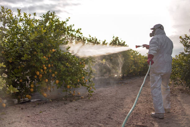 Best Pest Prevention Services  in Cozad, NE