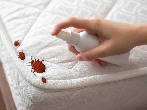 Best Exterminator Services  in Cozad, NE