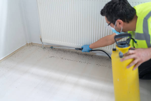 Reliable Cozad, NE Pest Control Solutions