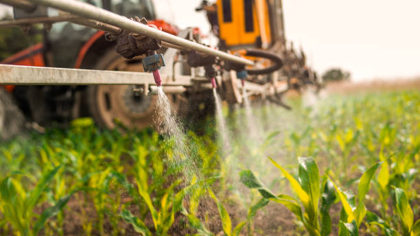 Best Wildlife Control Services  in Cozad, NE